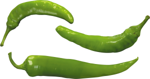 Green pepper PNG image-3236